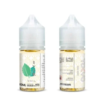 TOKYO SALTNIC ICED MINT 30ML