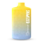 WATERMELON ICE 5000 PUFF 5%